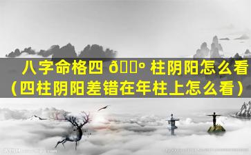 八字命格四 🐺 柱阴阳怎么看（四柱阴阳差错在年柱上怎么看）